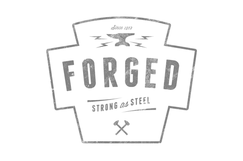 Referenz bspl Forged Logo